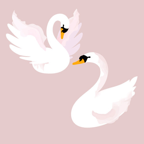 White Swan Decals